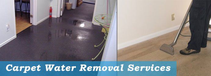 Carpet Water Removal Services