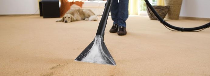 Carpet Sanitising Forde