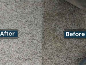 Carpet Cleaning Before and After