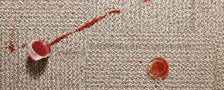  Remove Tomato Sauce from Your Carpet