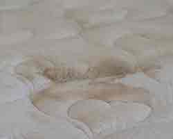 Mattress Mould Removal Canberra