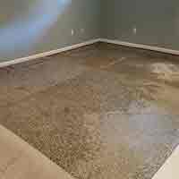 Carpet Water Damage Repair Service Perth